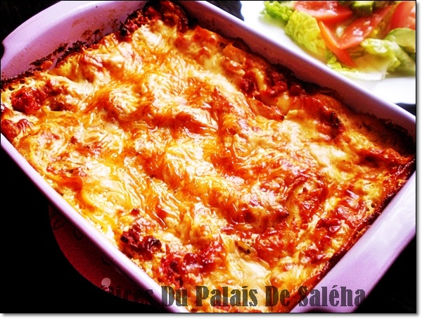 Lasagnes A La Bolognaise Recette Facile Aux Delices Du Palais