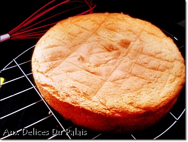 recette-genoise-facile-plumeP1051129.JPG