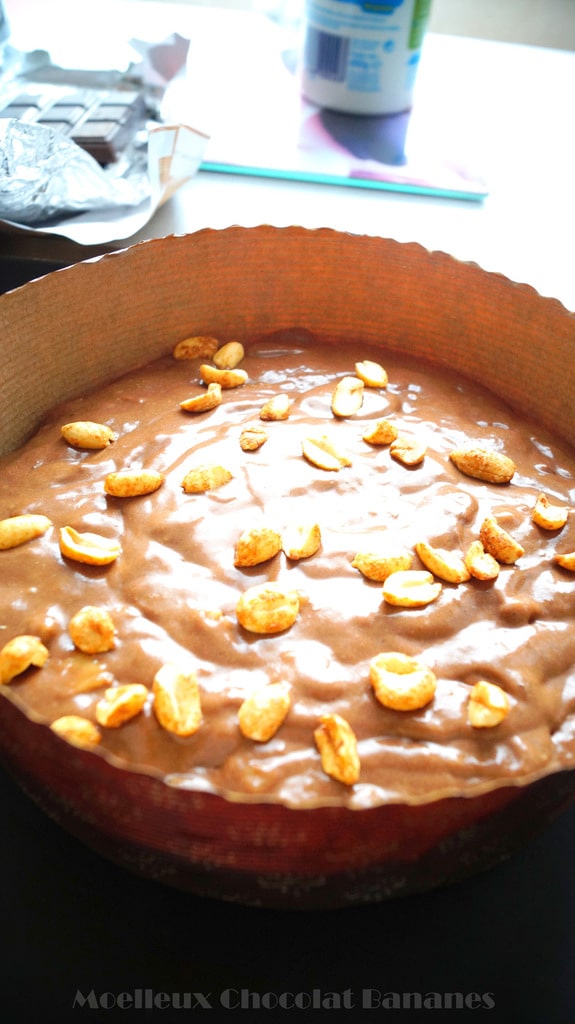 Gâteau sans beurre chocolat cacahuètes