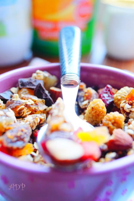 muesli croustillant maison