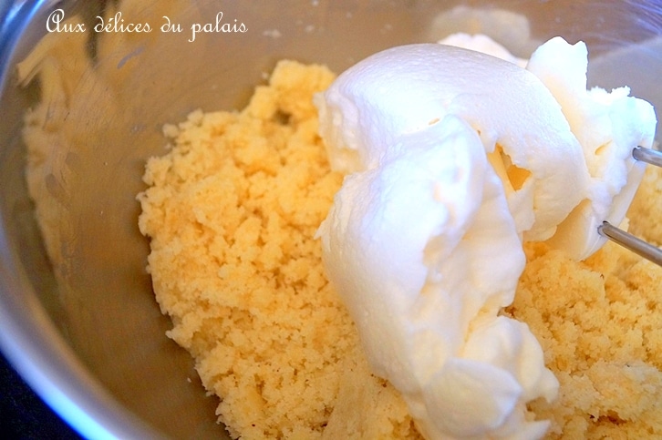 Biscuit succès aux amandes & noisettes