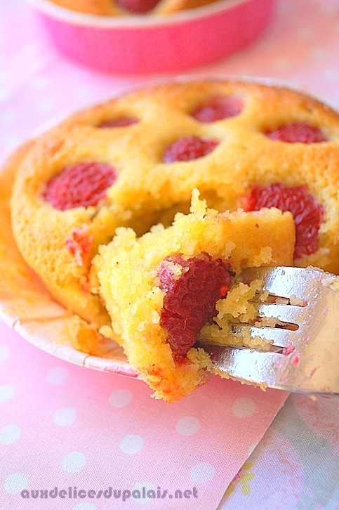 Namandier gâteau aux amandes et framboises