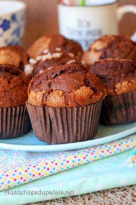 Madeleines moelleuses chocolat · Aux délices du palais