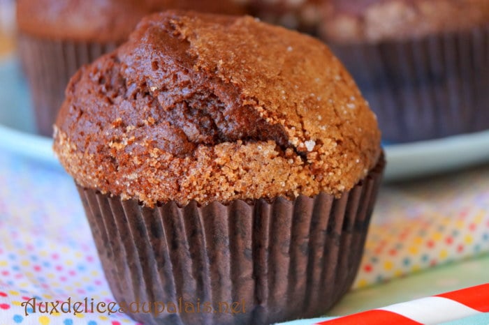 Madeleines moelleuses chocolat · Aux délices du palais