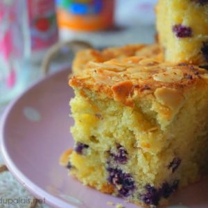 Gâteau moelleux aux myrtilles et aux amandes