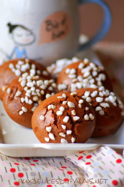 Biscuit moelleux au chocolat (sablés italiens)