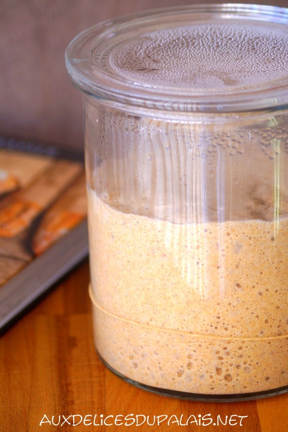 Levain Naturel Maison Facile