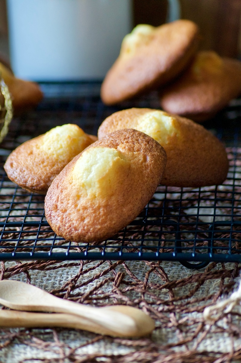 Madeleines de Lenôtre (la meilleure recette)