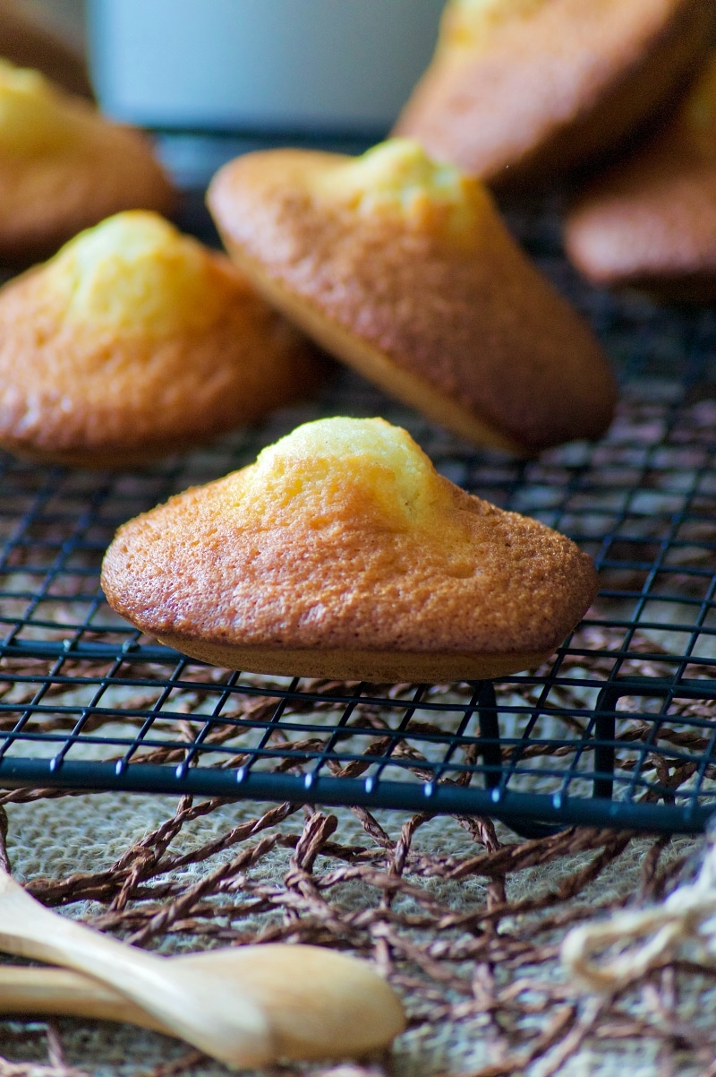 madeleines de commercy recette facile