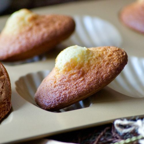 Madeleines de Lenôtre (la meilleure recette)