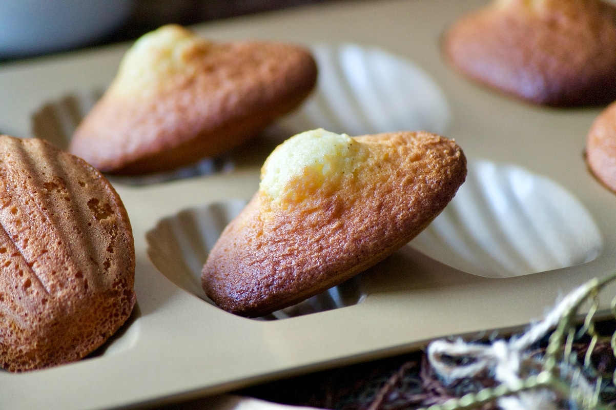 Madeleines de Lenôtre (la meilleure recette)