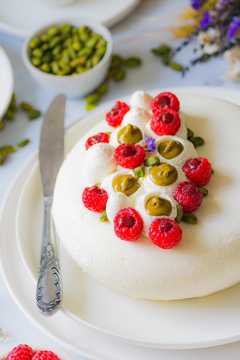 Entremet menthe et chocolat - Les délices 31