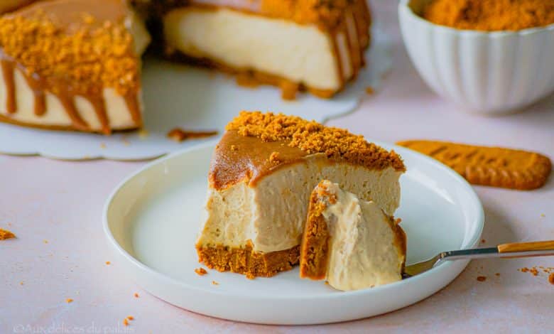 Cheese cake Spéculoos sans cuisson