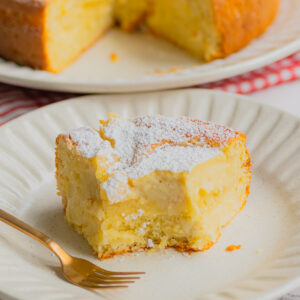 Gâteau moelleux à la crème pâtissière (Torta Nua)