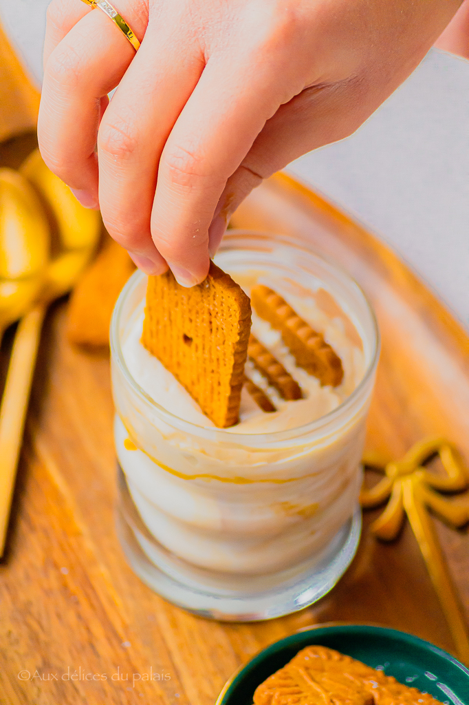 cheesecake japonais sans cuisson nutella pralin