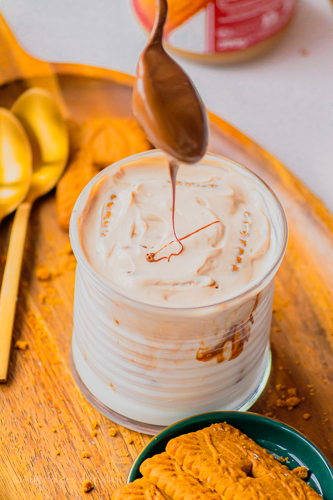 cheesecake japonais sans cuisson spéculos nutella pralin