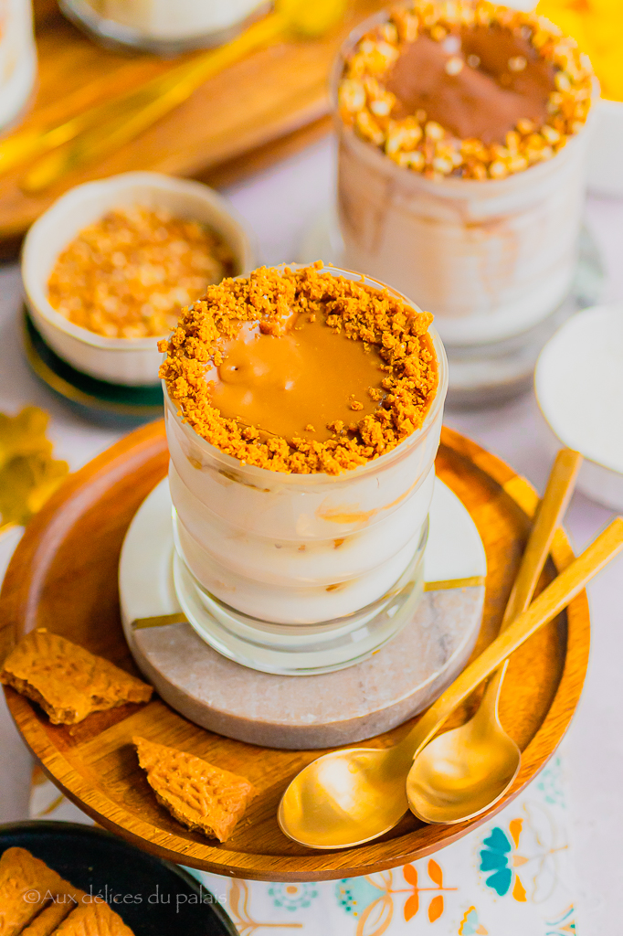 cheesecake japonais sans cuisson spéculos 