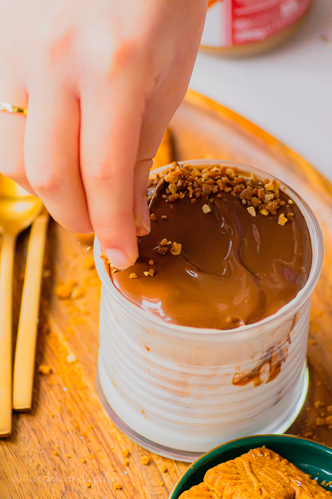 cheesecake japonais sans cuisson spéculos nutella pralin