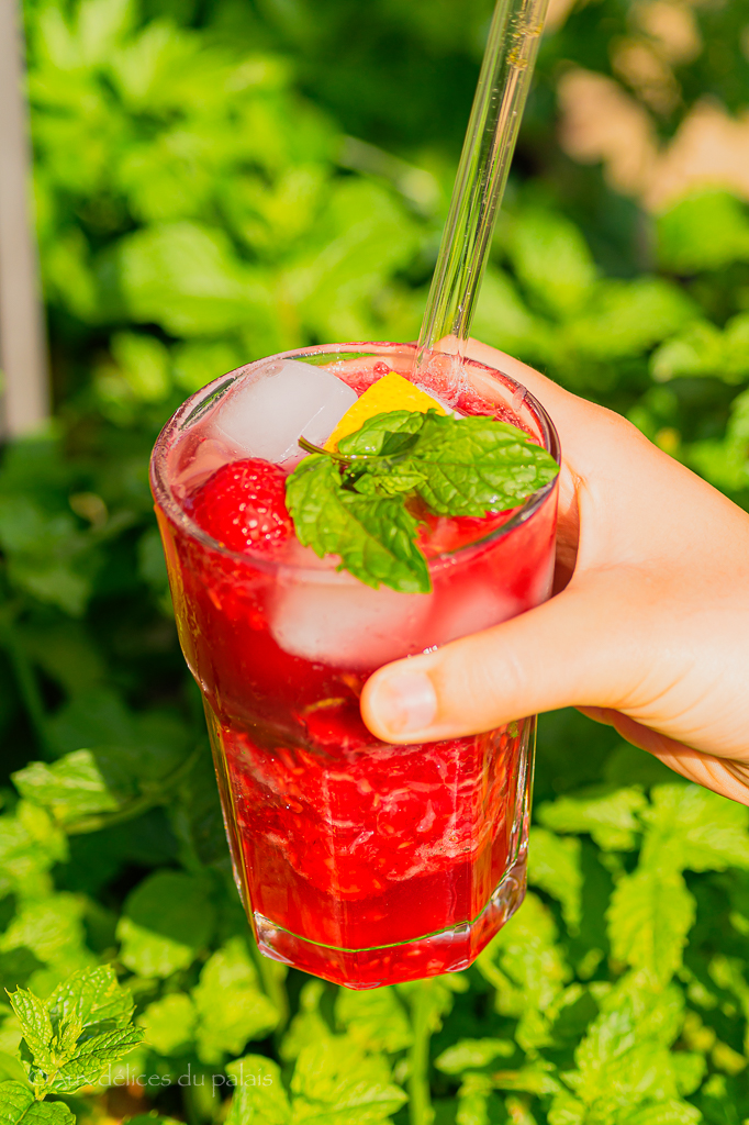 Mojito Kéfir Framboises Cocktail Sans Alcool Pétillant